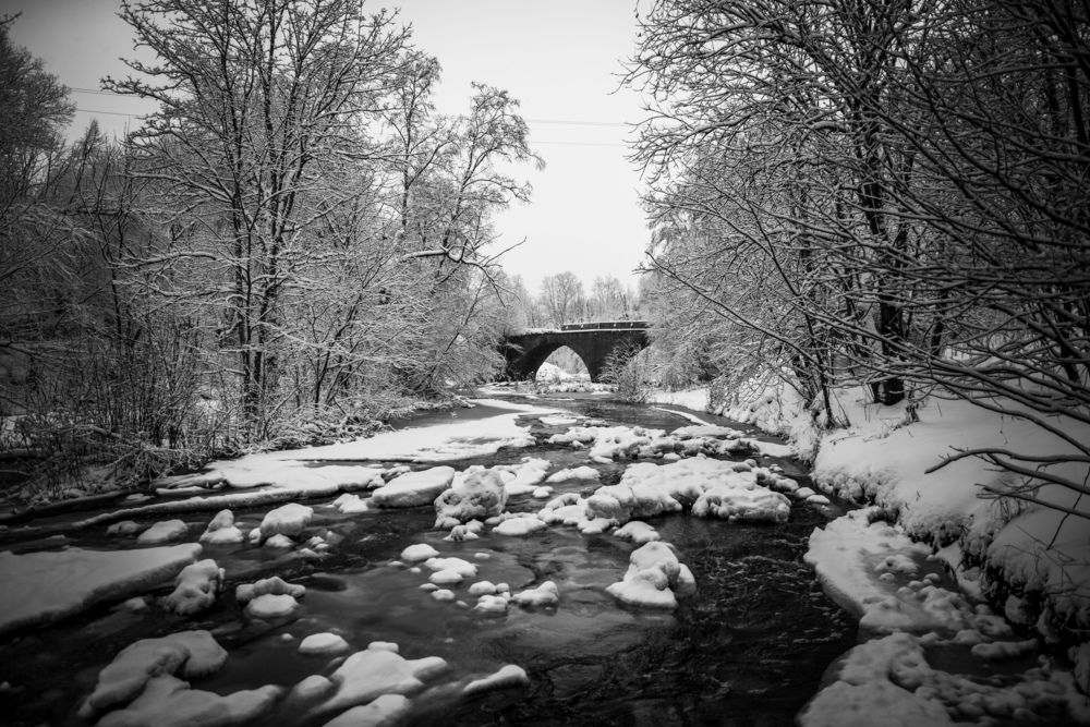 Фотография автора Виктор Конев