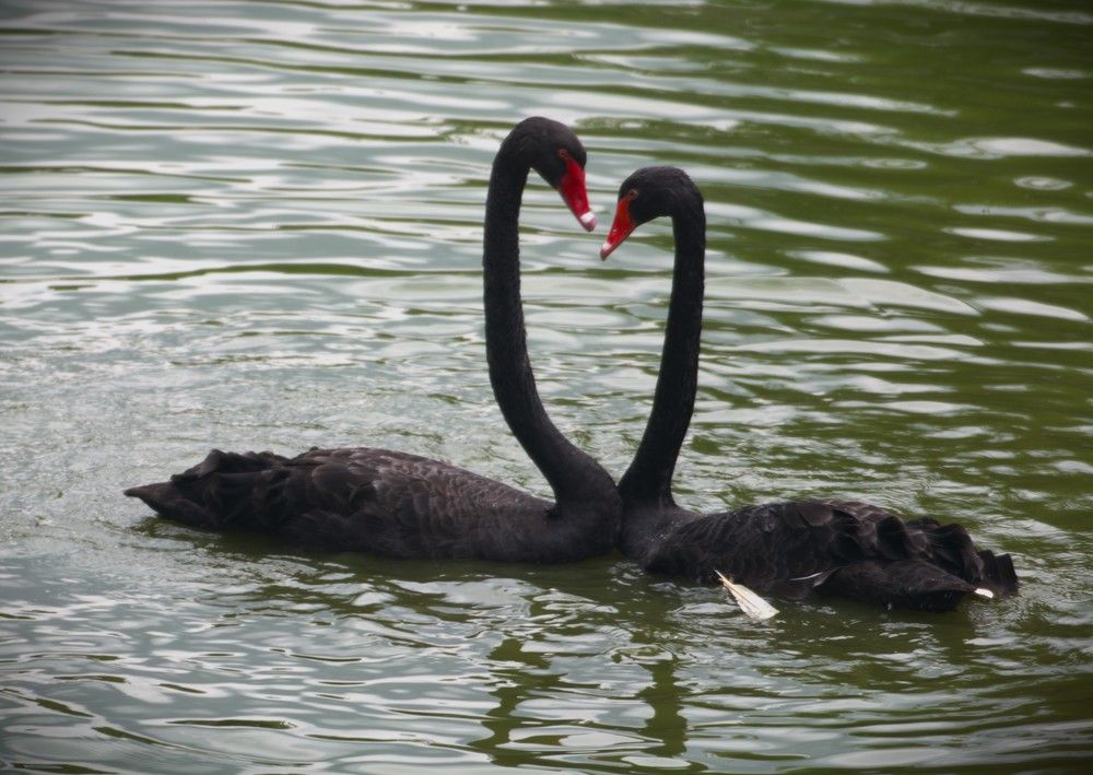 Photograph by Gr Marie