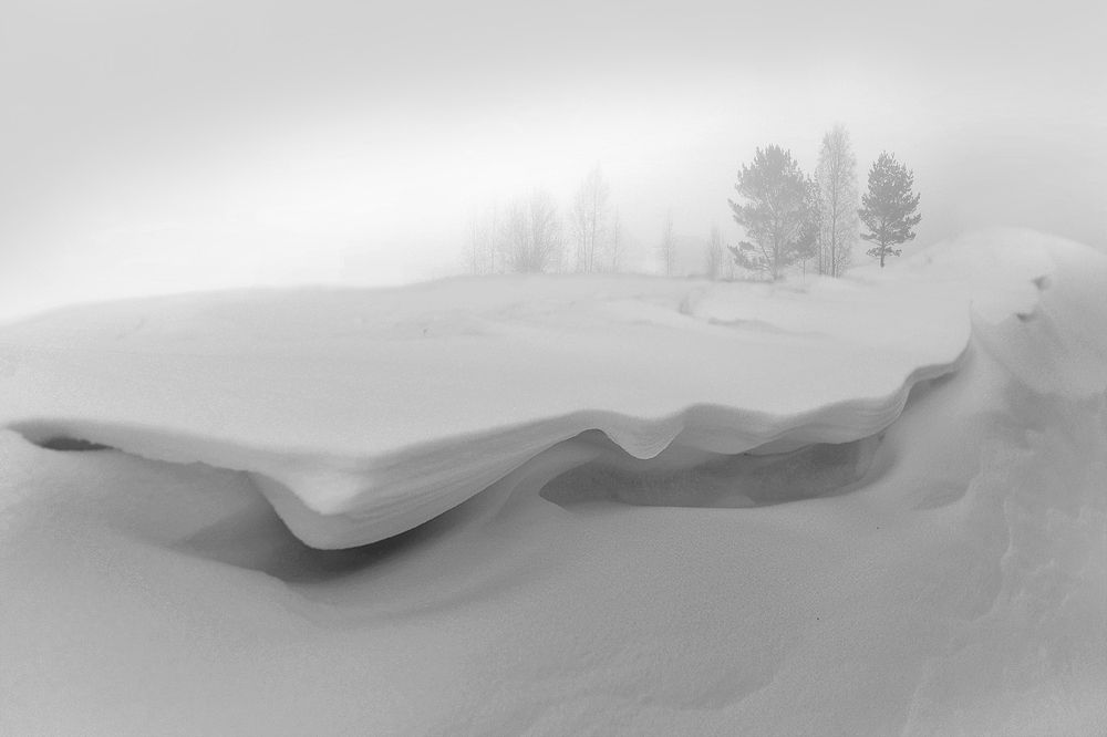 Photograph by Варвара Штерн