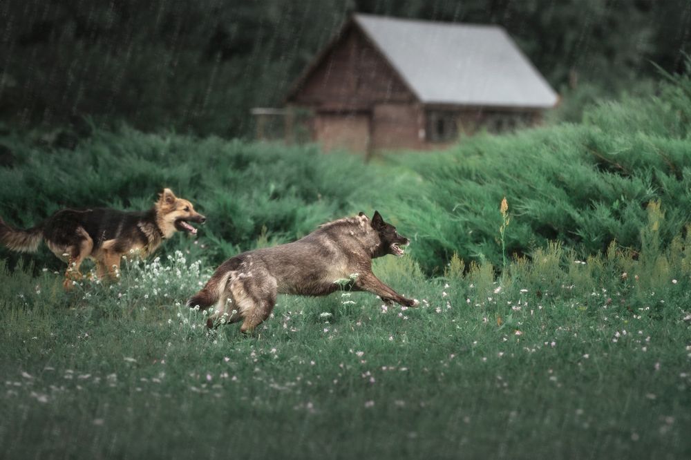 Photograph by Nephotograph