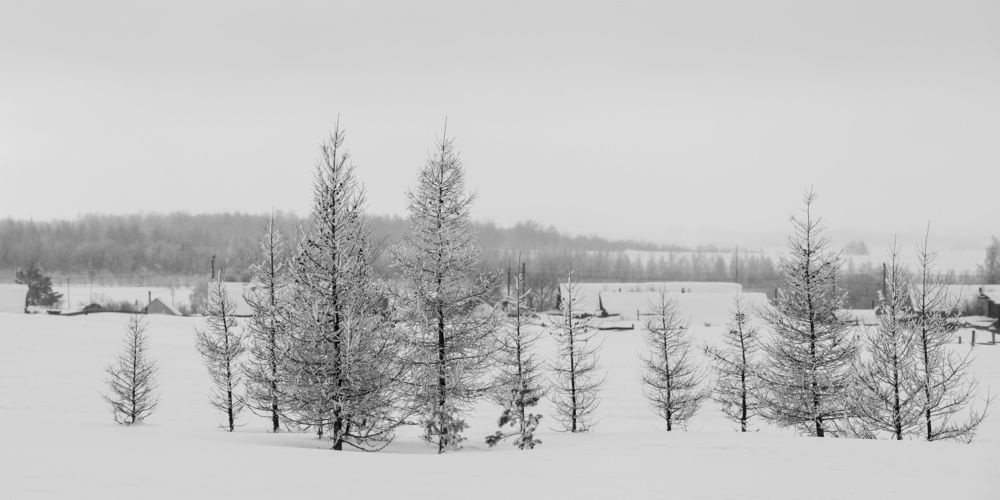 Фотография автора Павел Ступак