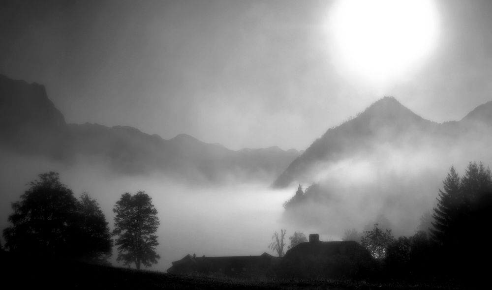 Фотография автора Рожнов Кирилл