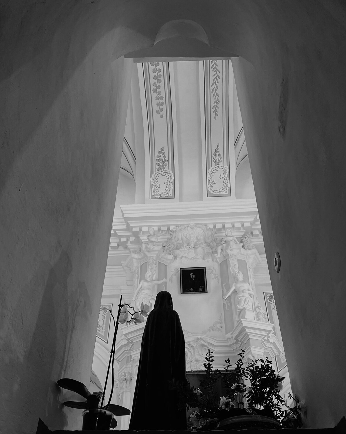Photo #11640758