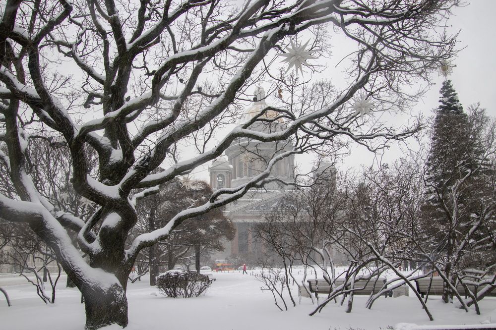 Photograph by Валентина Куренкова