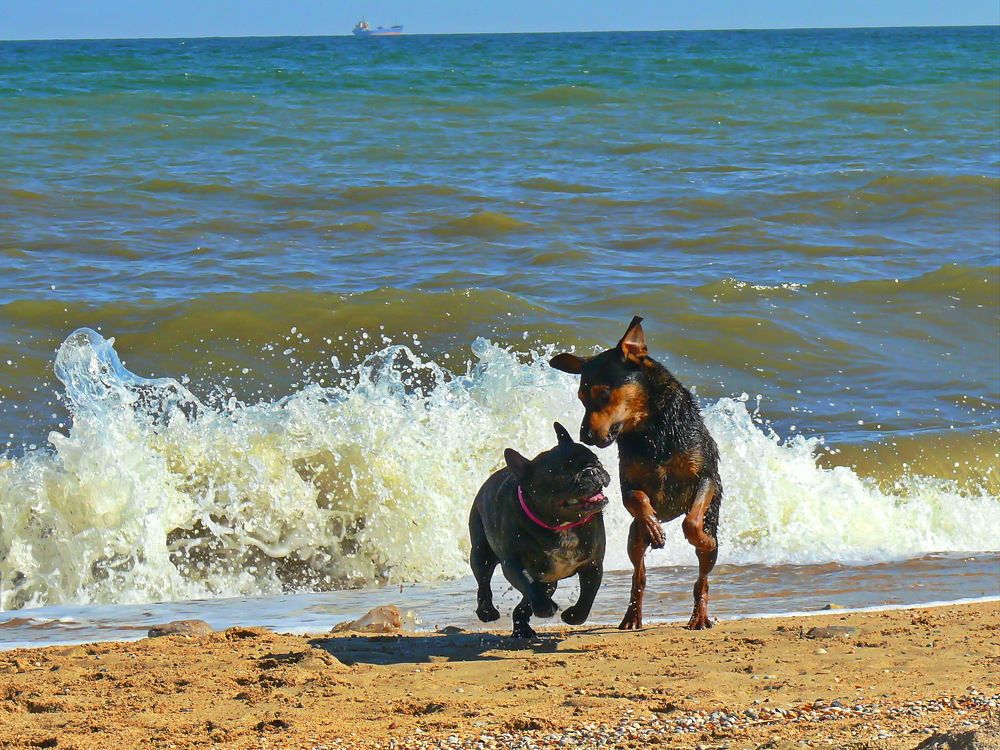 Фотография автора Анатолий Борисов