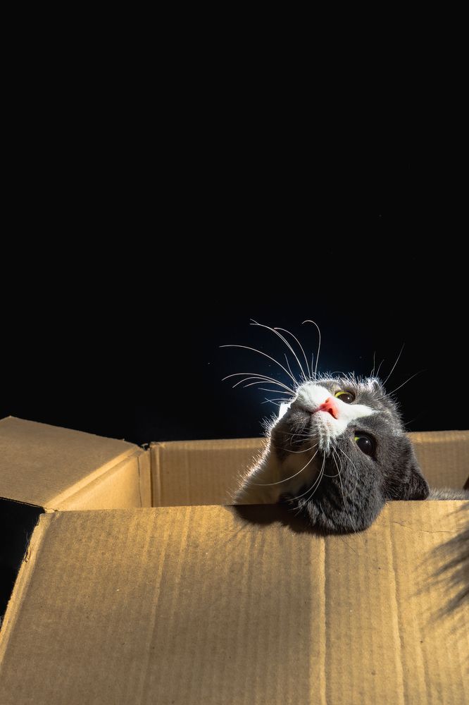 Фотография автора Виталий Гавронский