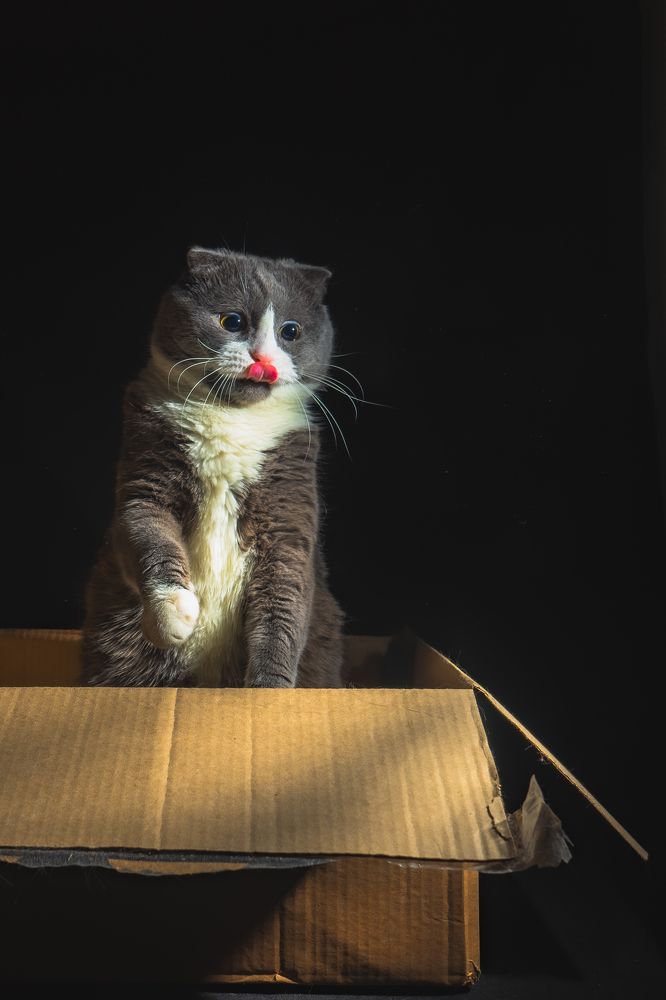 Фотография автора Виталий Гавронский