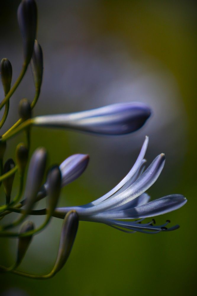 Photograph by Gr Marie