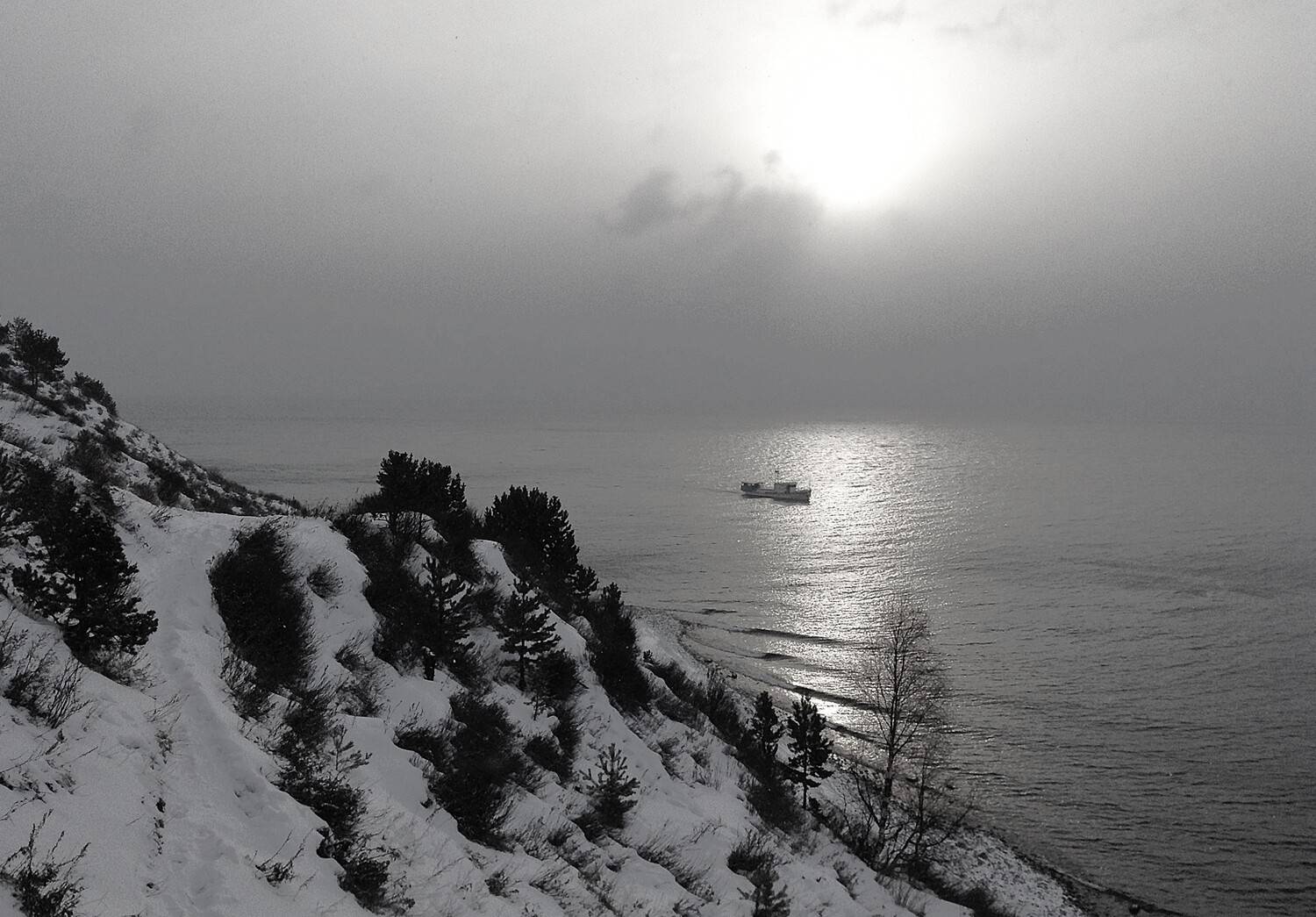 Photo #11640836