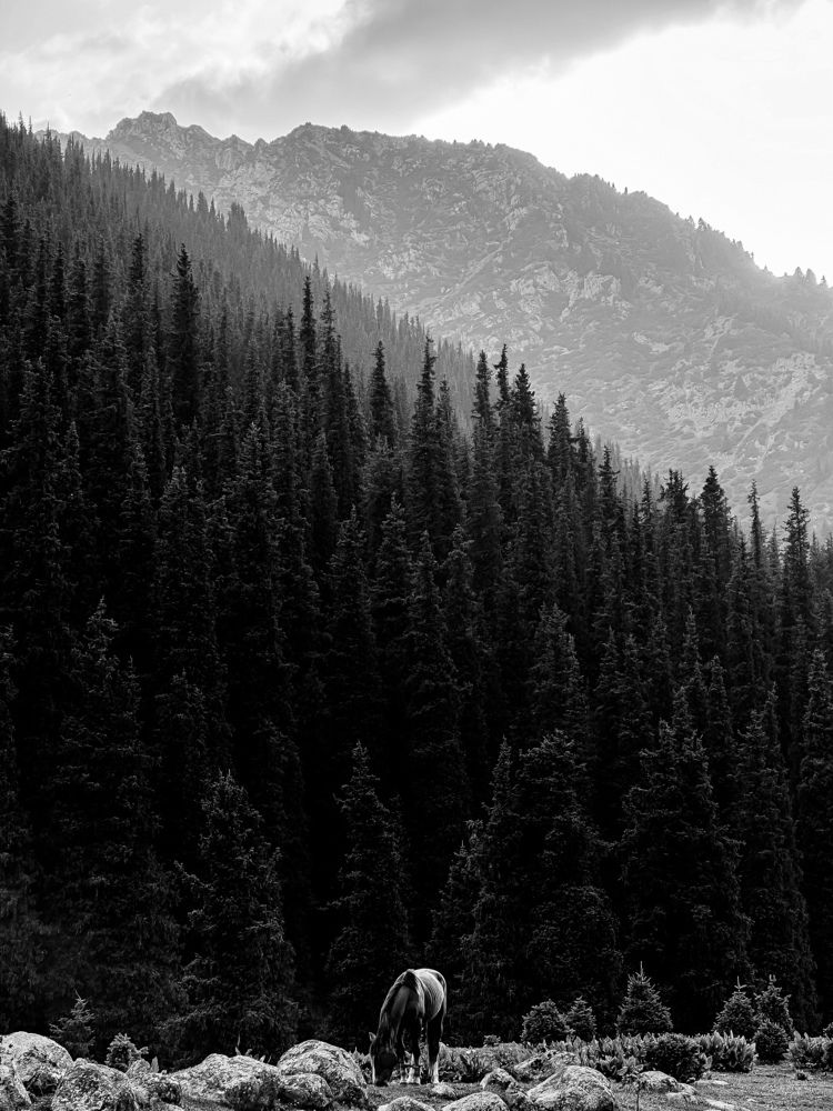 Фотография автора Илья Исаев