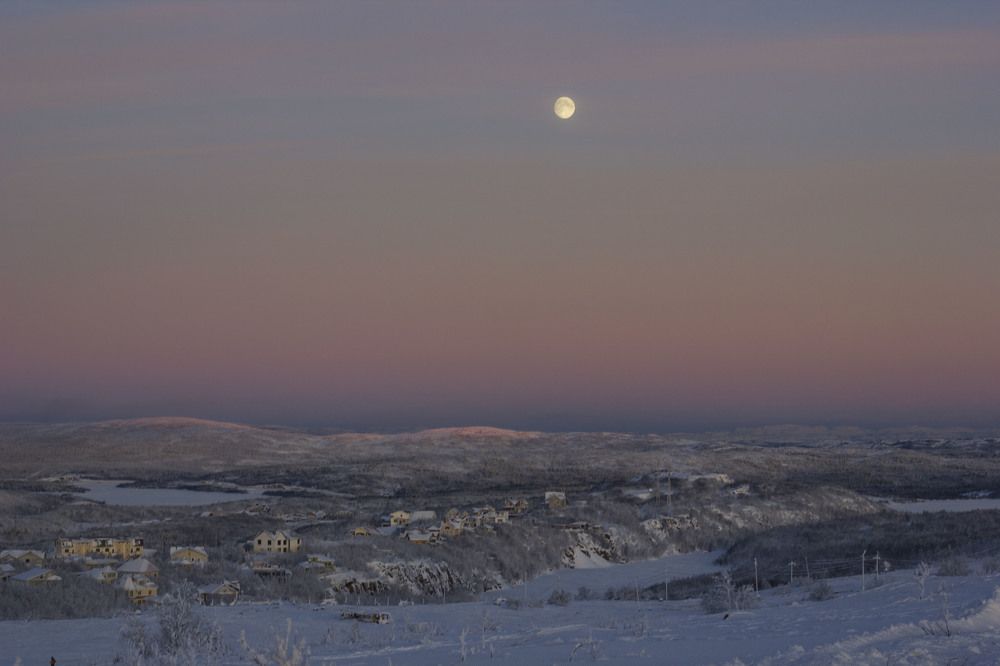 Photograph by Елена