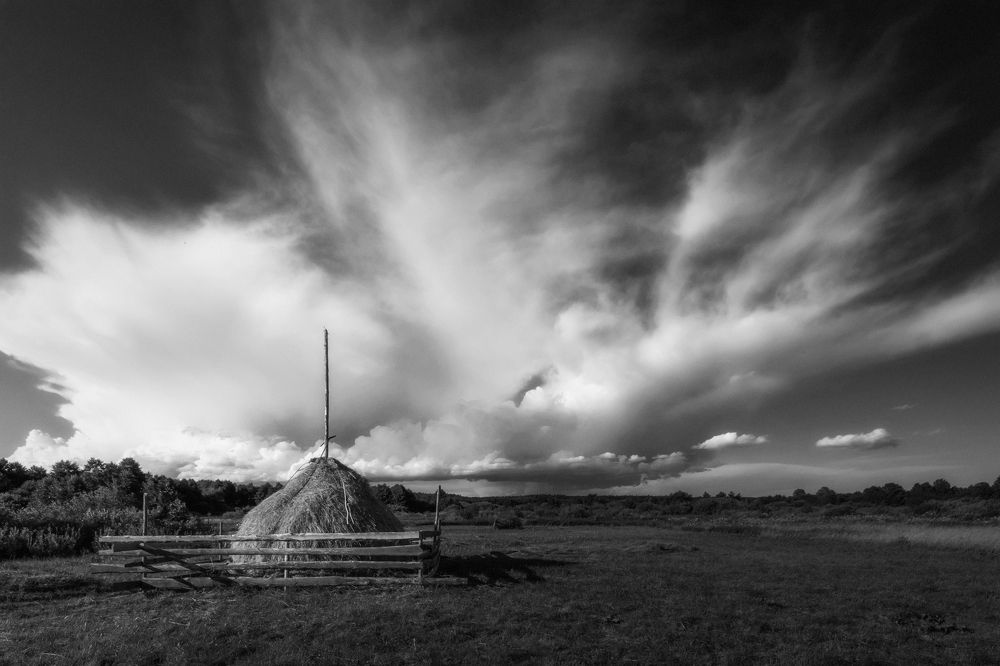 Photograph by Nephotograph