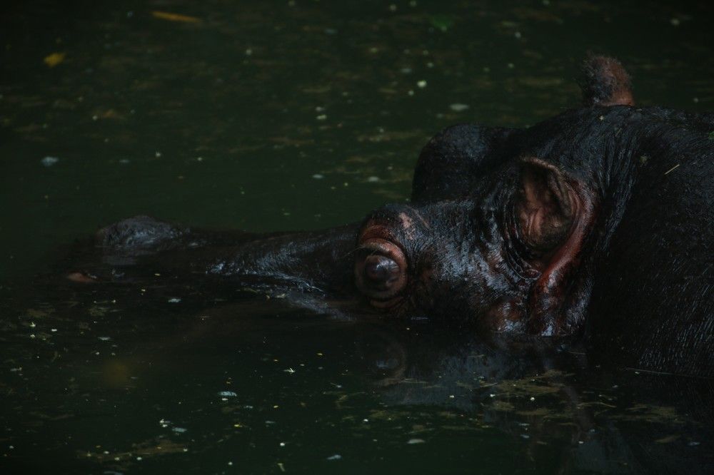 Photograph by Gr Marie