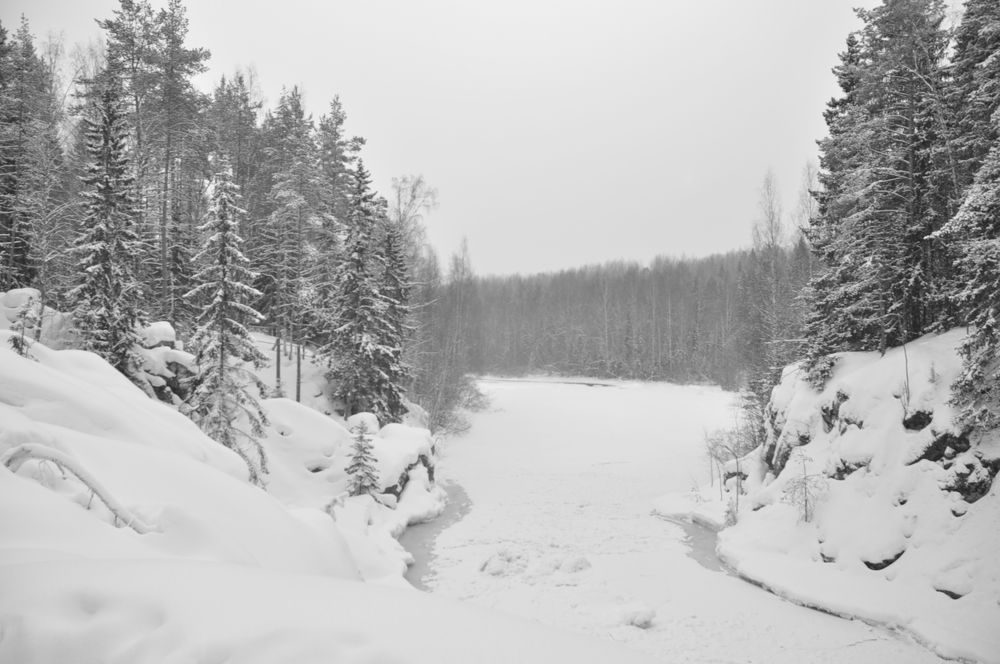 Photograph by Герасимова Татьяна