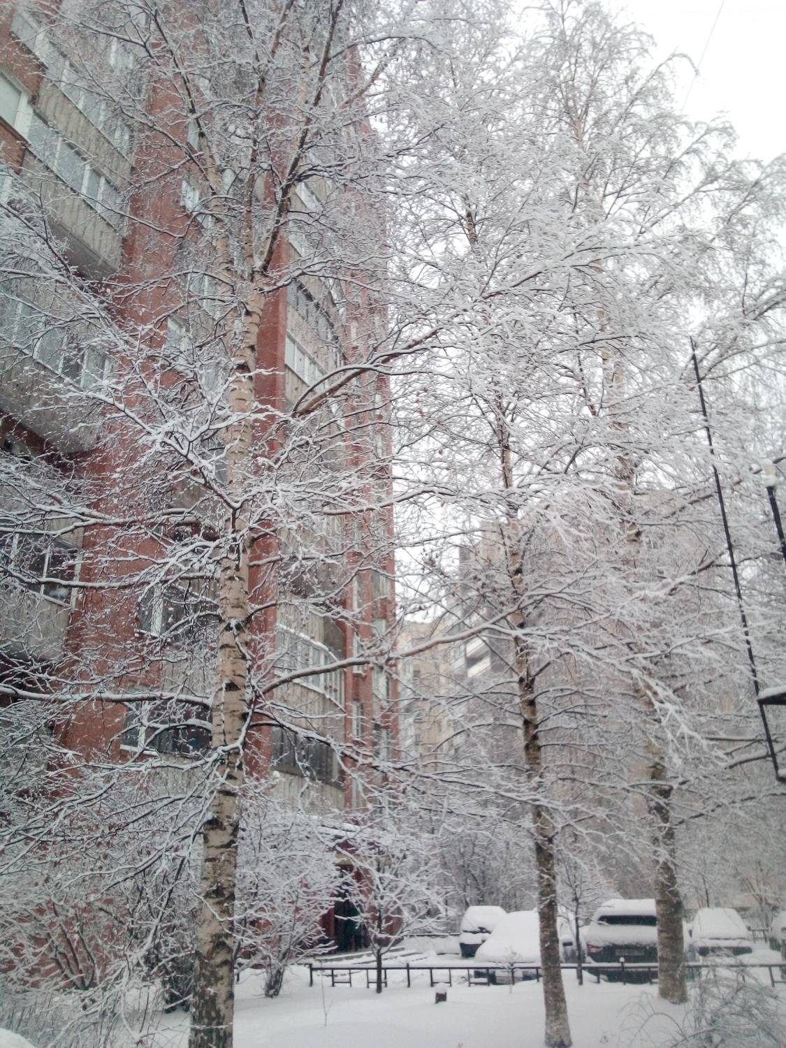 Photo #11640921
