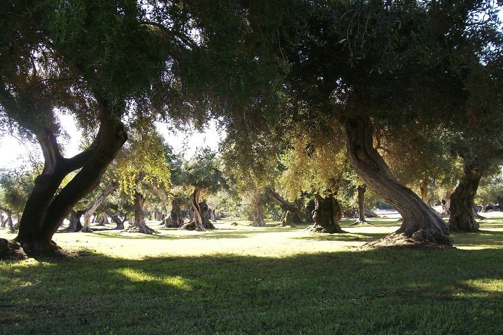 Photograph by Хвостов владимир Владимирович