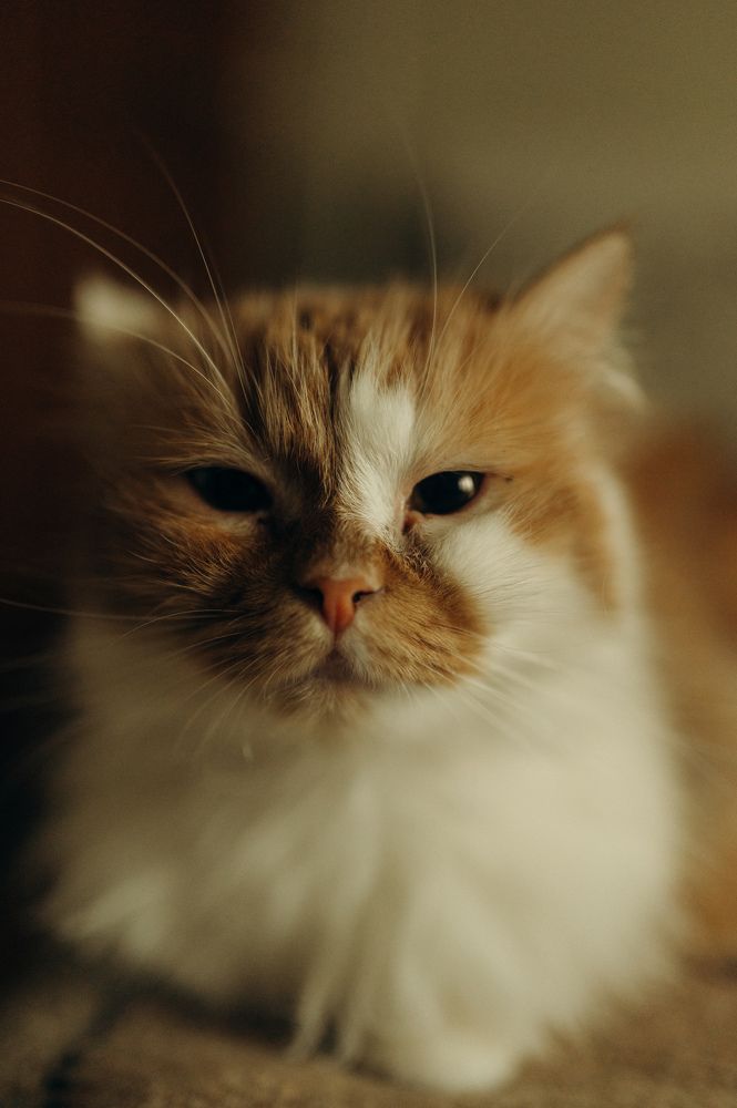 Photograph by Денисенко Катя