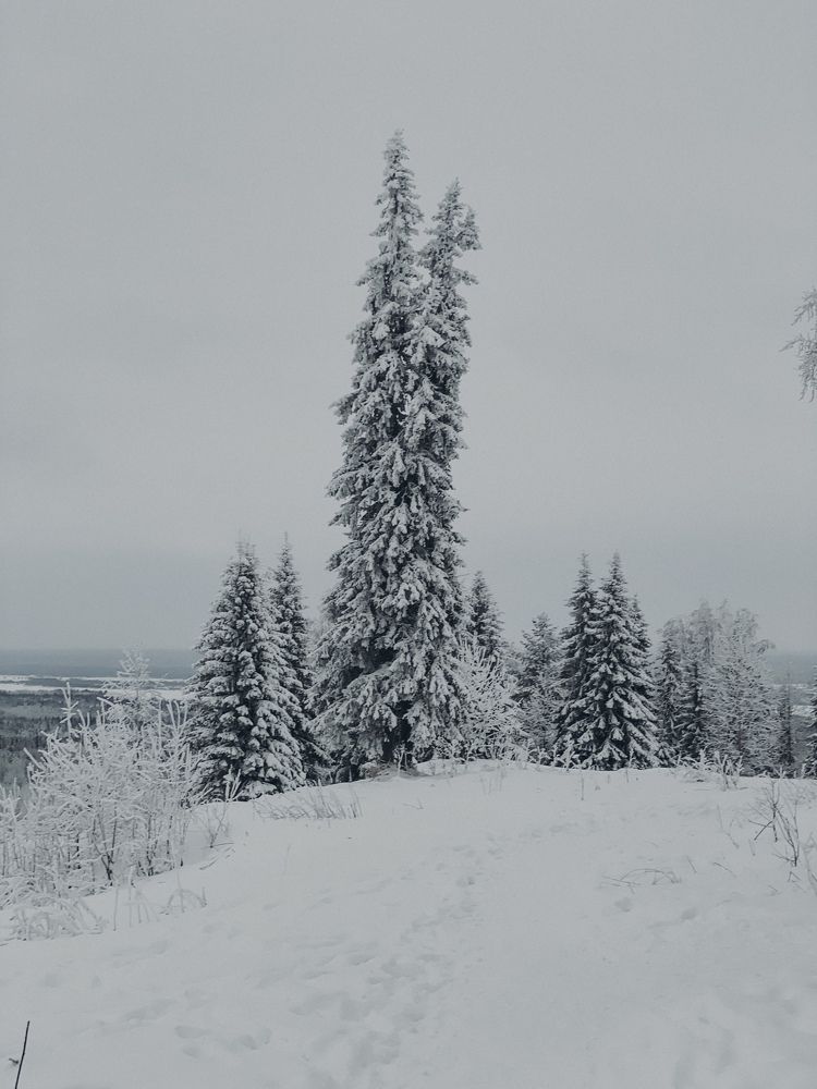 Photograph by Alina Shorina