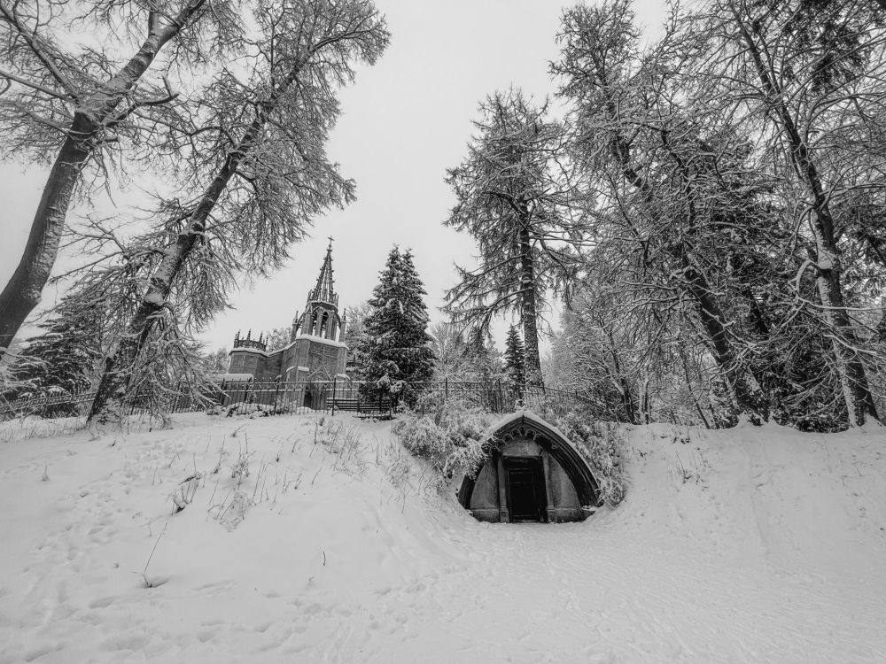 Photograph by Alina Shorina