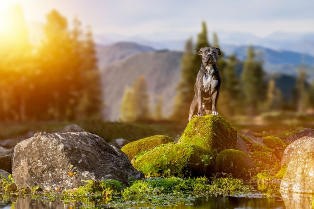 Photograph by Zoltan Laza Tamas