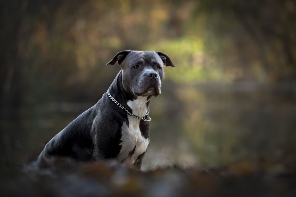 Photograph by Zoltan Laza Tamas