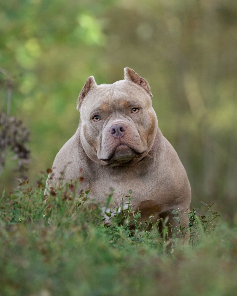 Фотография автора Валерия Капитонова