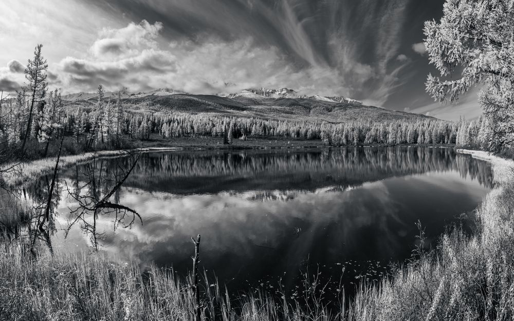 Photograph by Devender Mark