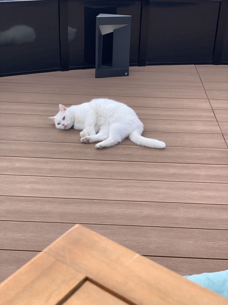 Photograph by Илья Разумцев