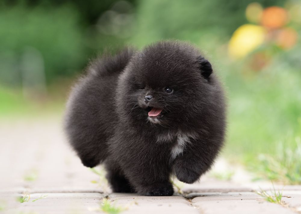 Фотография автора Валерия Капитонова