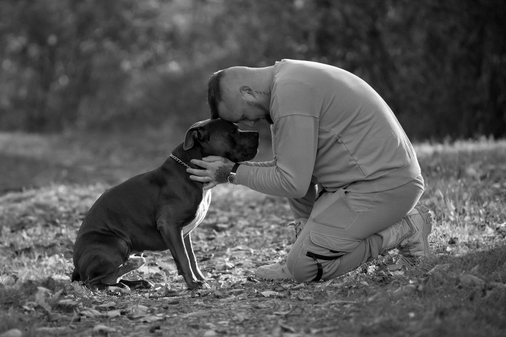 Photograph by Zoltan Laza Tamas