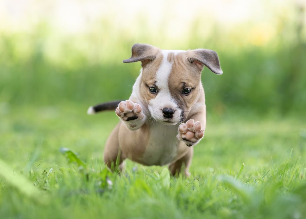 Фотография автора Валерия Капитонова