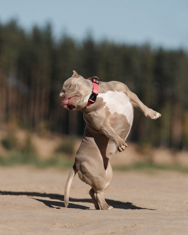 Photograph by Валерия Капитонова