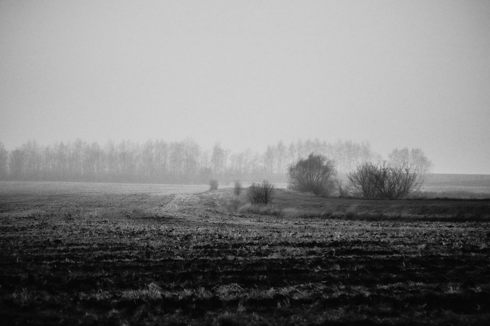 Photograph by Анна Дубинина