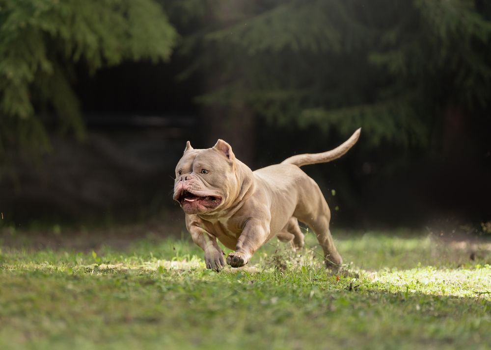 Photograph by Валерия Капитонова