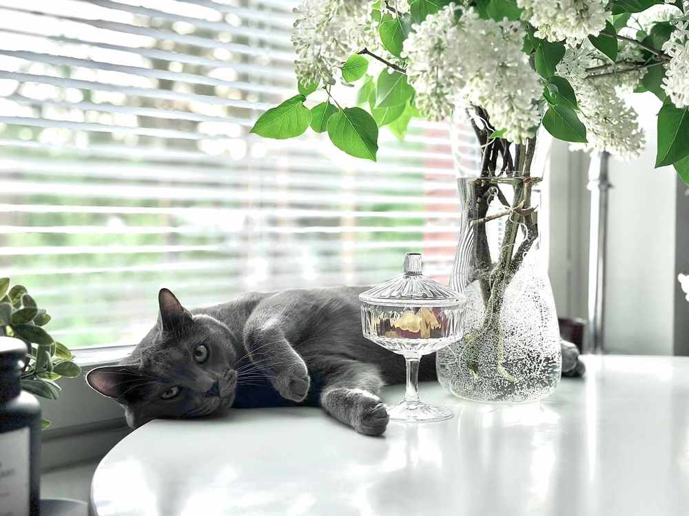 На расслабоне