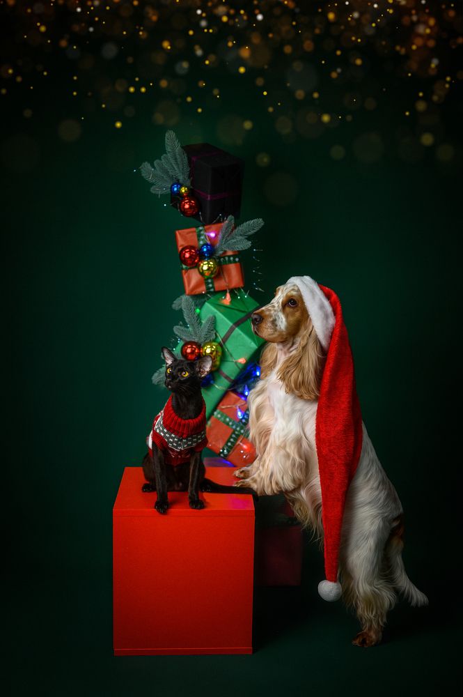 Photograph by Елена Савченкова