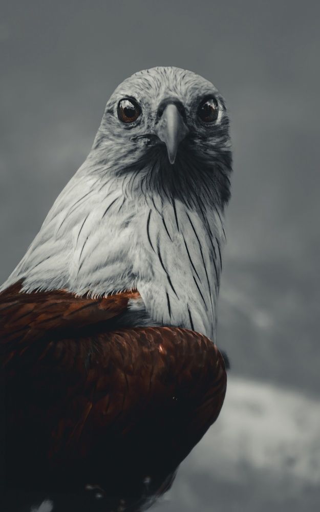 Photograph by Sarasija Ghosh