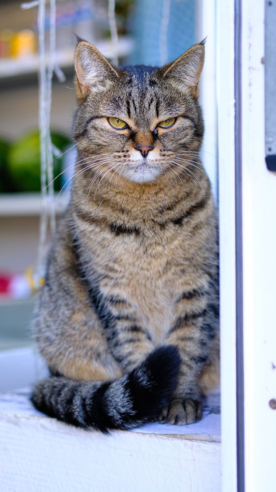 Photograph by Александр Елизаров