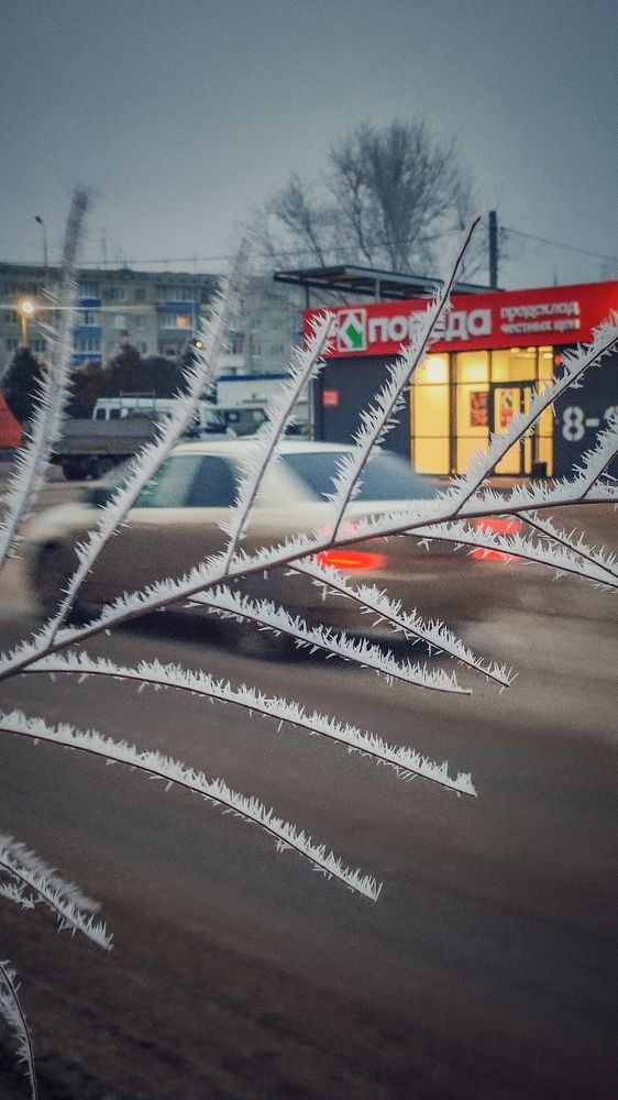 Фотография автора Анастасия Мамаева