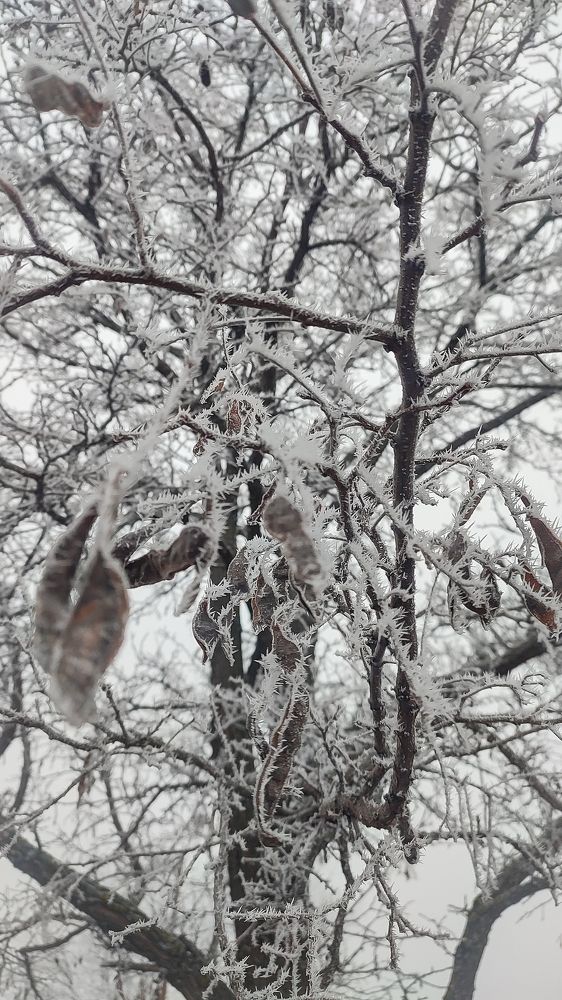 Фотография автора Анастасия Мамаева