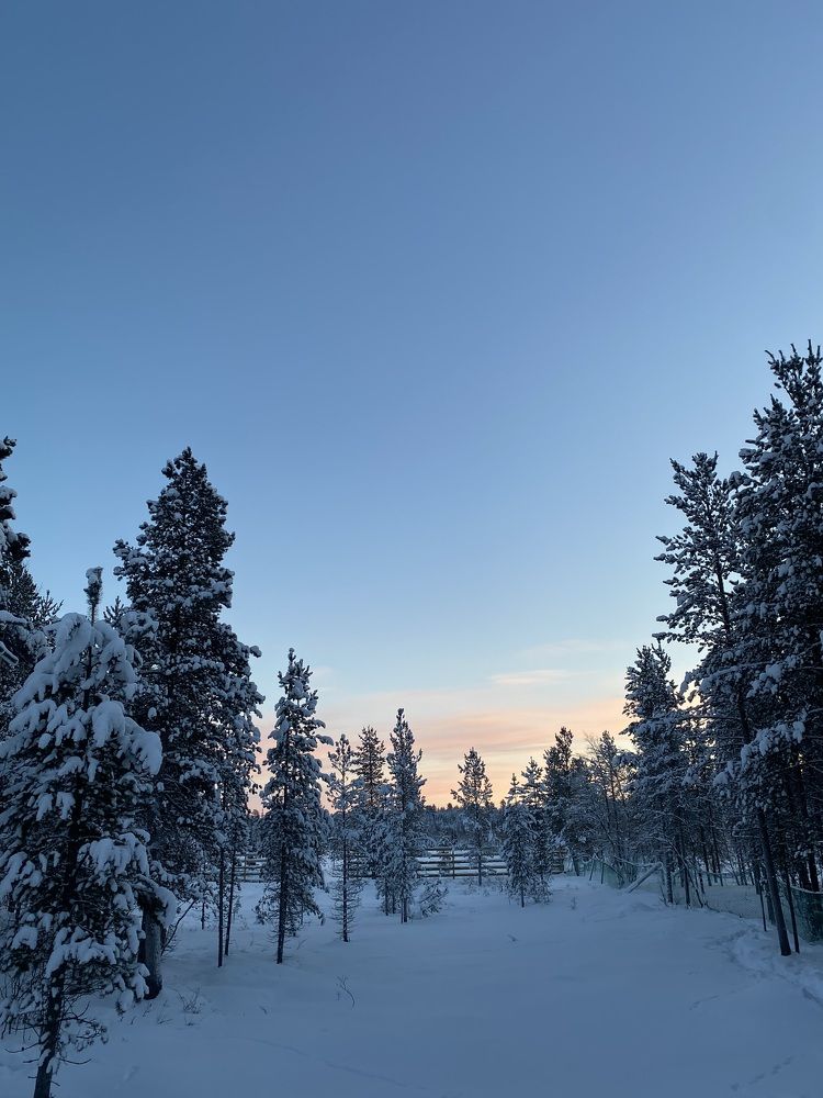 Photograph by Айгуль