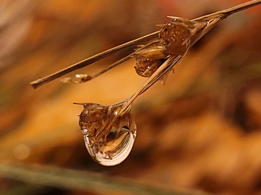 Photograph by Catherine Walter-Prêtre