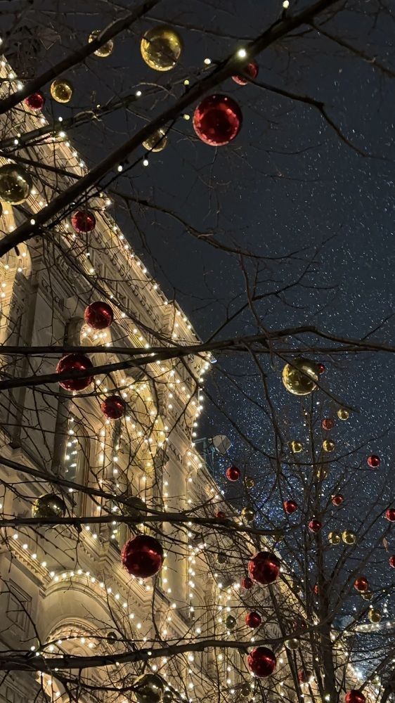 Photograph by Диана Янковская