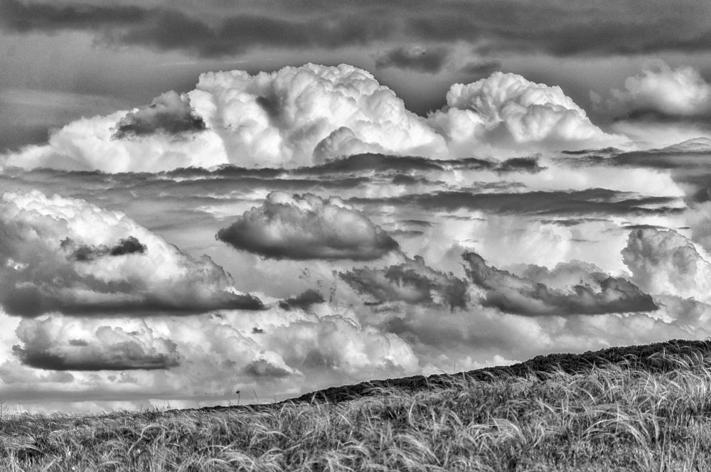 Photograph by Мария Кобыльченко