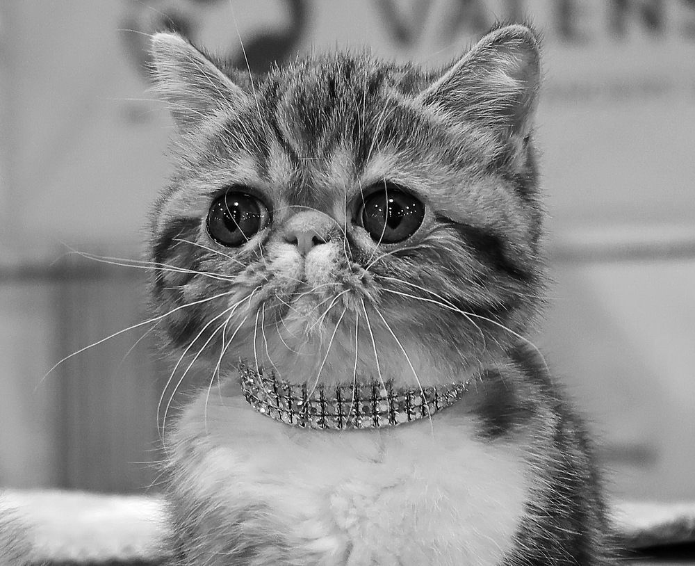 Photograph by Сергей Маслов