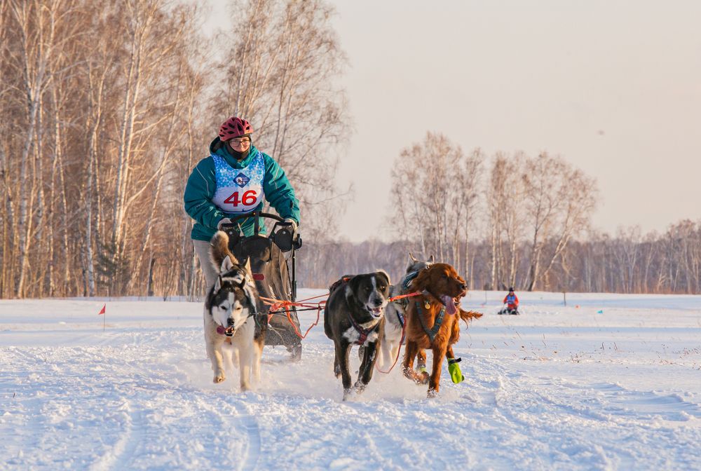 Photograph by Елена Павлова