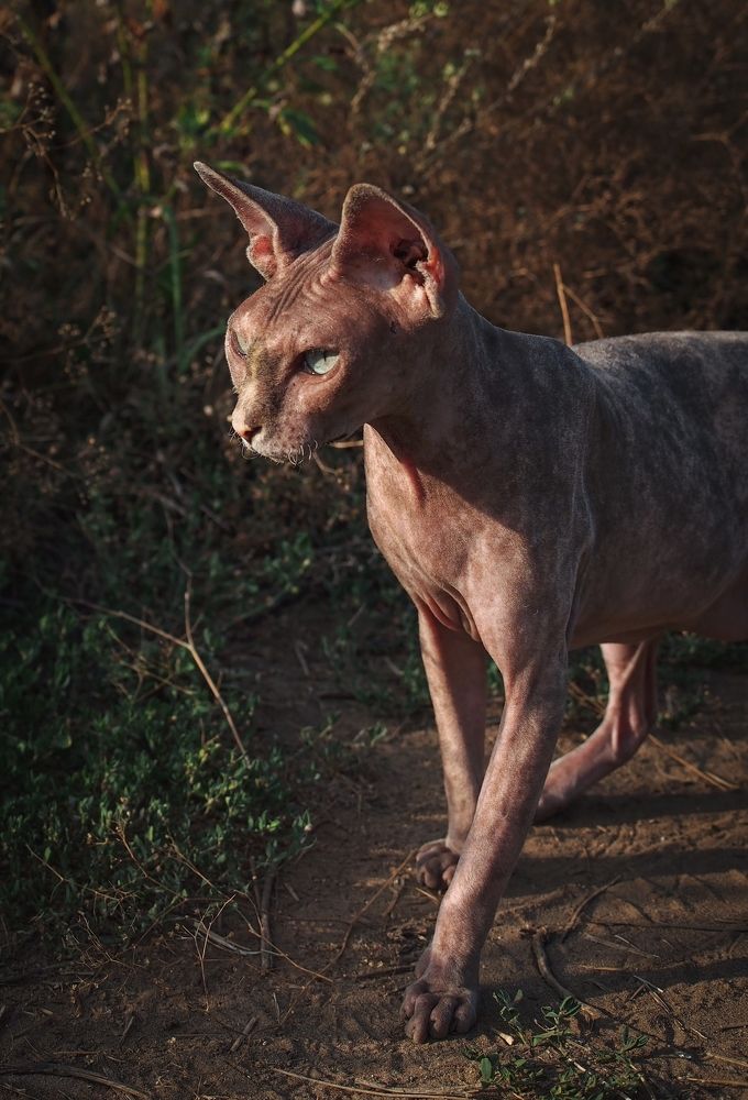 Фотография автора Svetlana Inyusheva