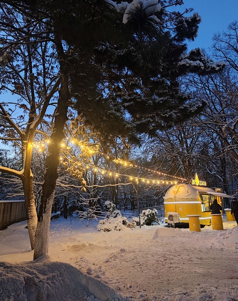 Photograph by Елизавета Зыкова