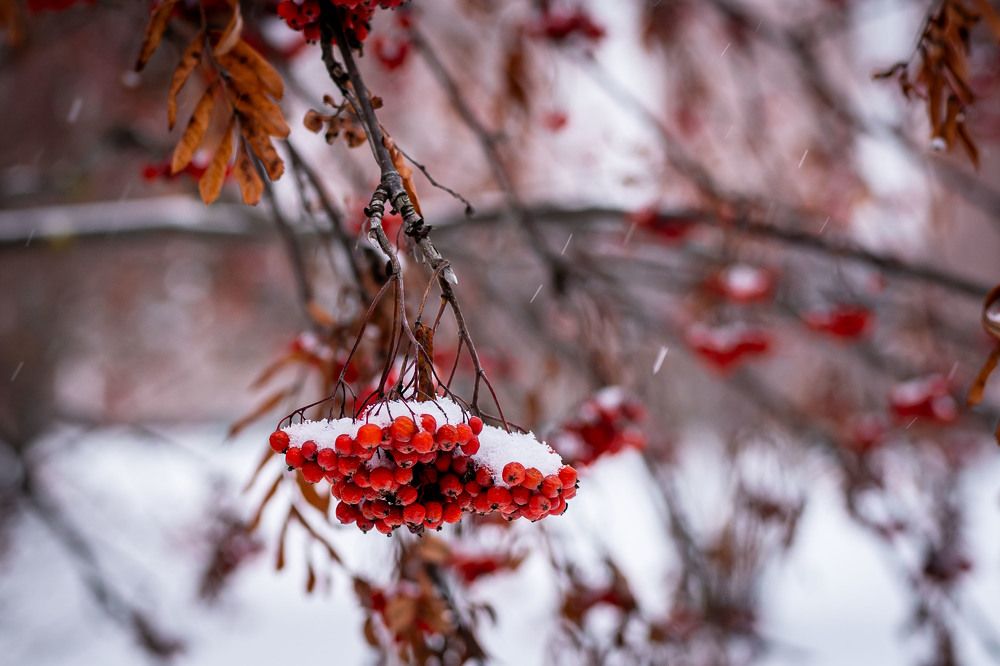 Photograph by Светлана Волкова
