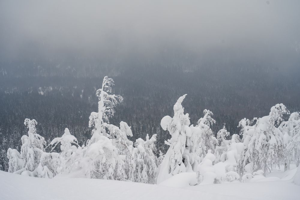 Photograph by Татьяна Решетникова